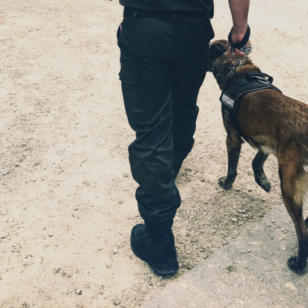 agent de sécurité maitre chien à bruxelles