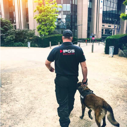 agent de sécurité maitre chien à bruxelles